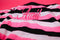 Pink Panther Money Bag Stripe Tee